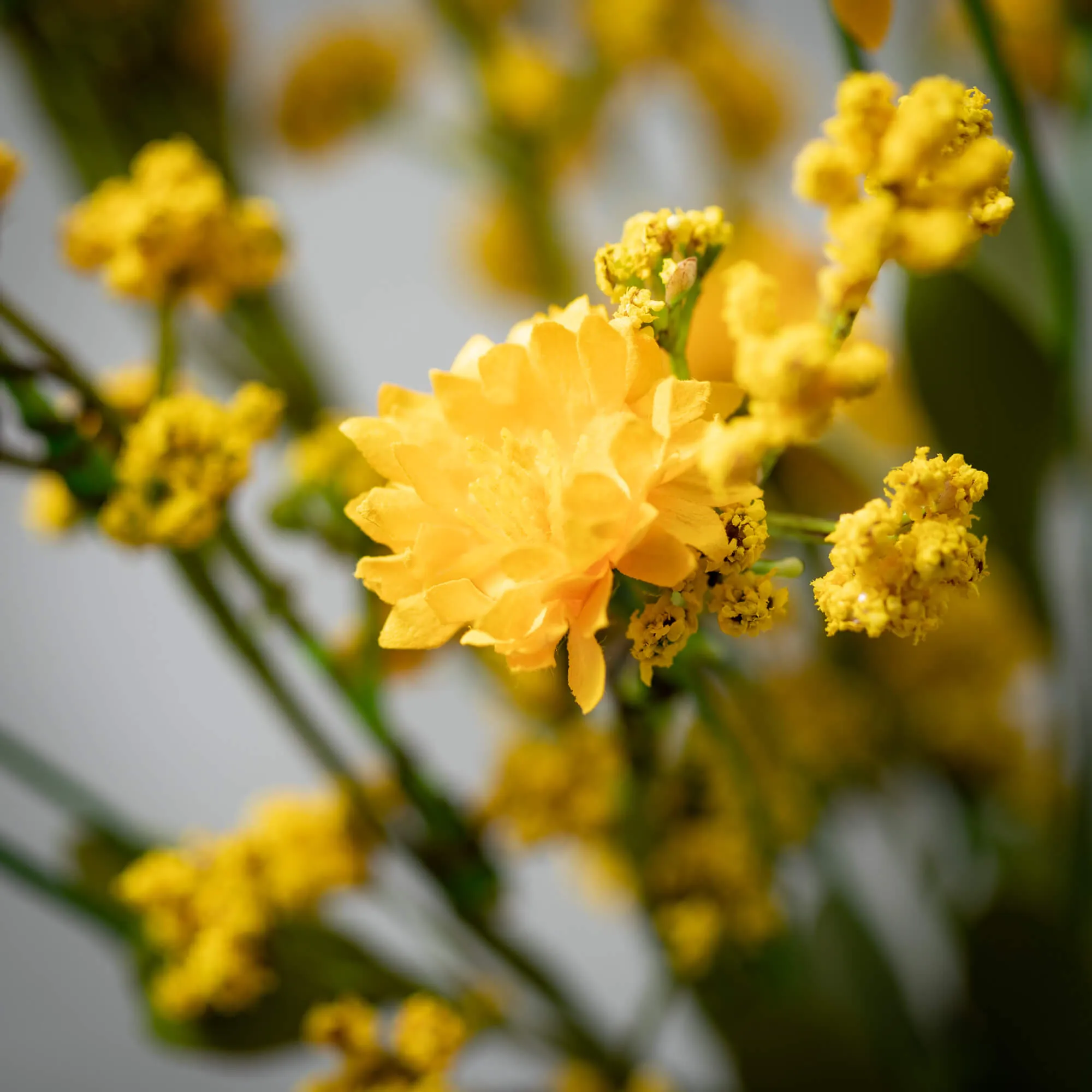 16"H Sullivans Yellow Wildflower Pick, Yellow