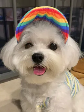 Adjustable Dog Cap