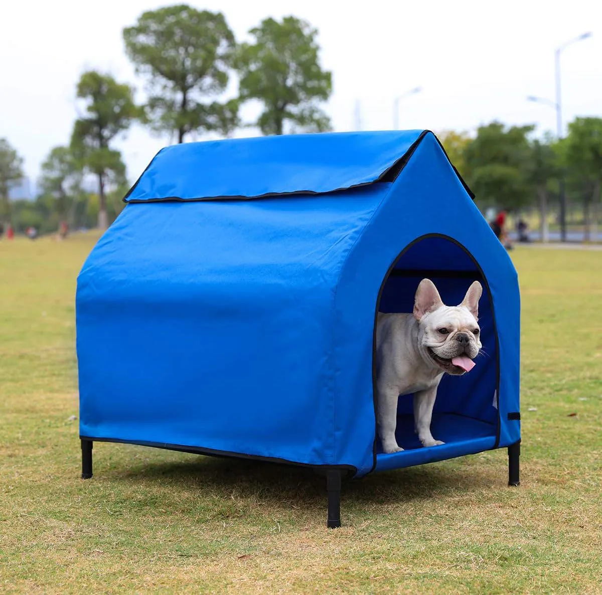 Amazon Basics Elevated Portable Pet House Kennel (35x32x26 Inches)