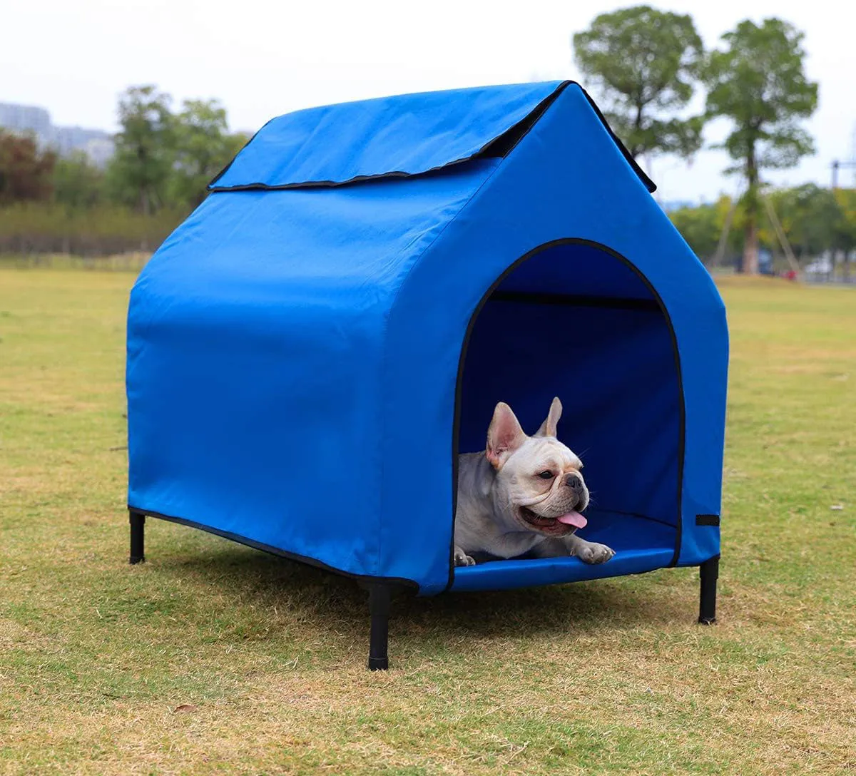 Amazon Basics Elevated Portable Pet House Kennel (35x32x26 Inches)