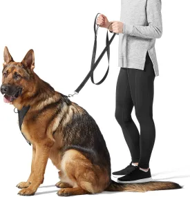 Amazon Basics Padded Handle 5-Foot Dog Leash with Reflective Stitching