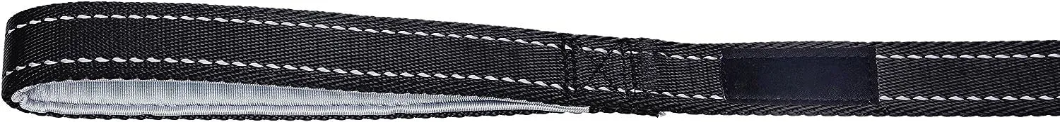 Amazon Basics Padded Handle 5-Foot Dog Leash with Reflective Stitching