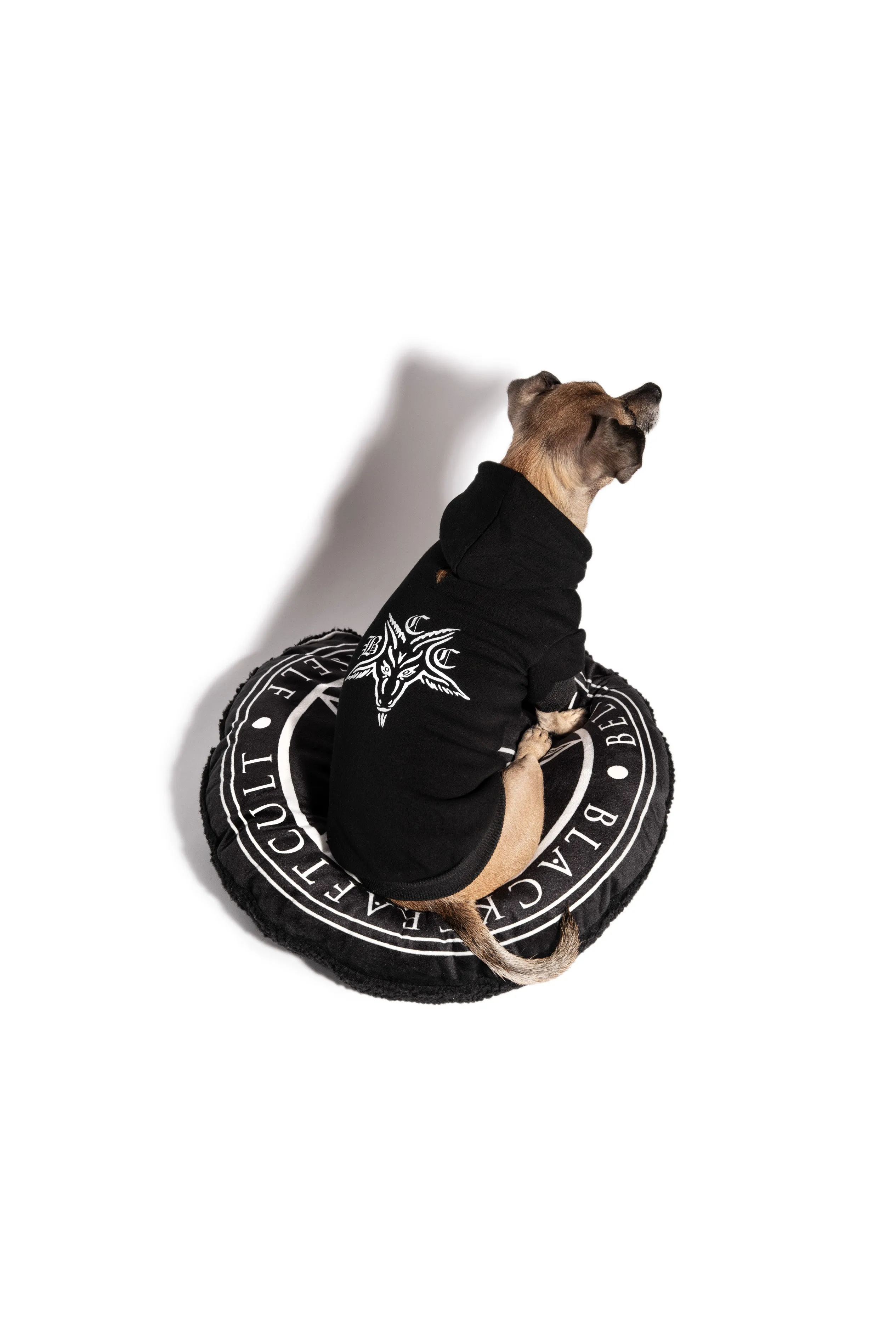 BCC Goat - Pet Hoodie