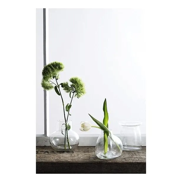 Bulb Vase Orb - Clear