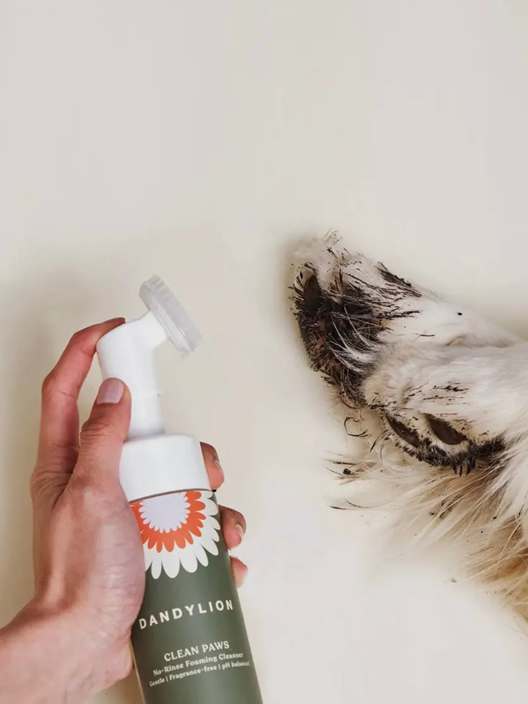 Clean Paws No-Rinse Foaming Cleanser