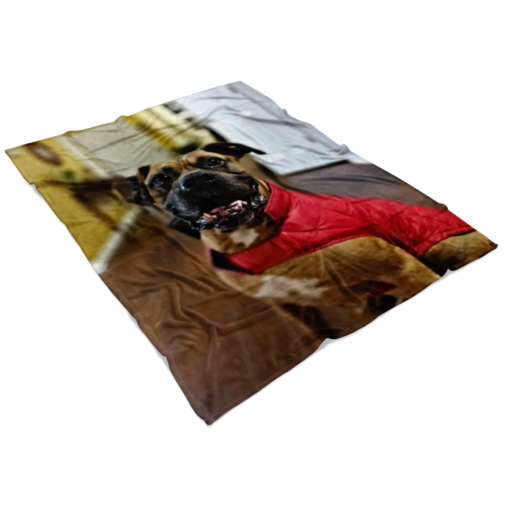 Custom Fleece Blanket with Sofia's Family Pet 11-30-2020