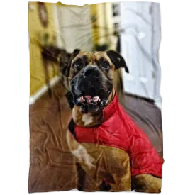 Custom Fleece Blanket with Sofia's Family Pet 11-30-2020