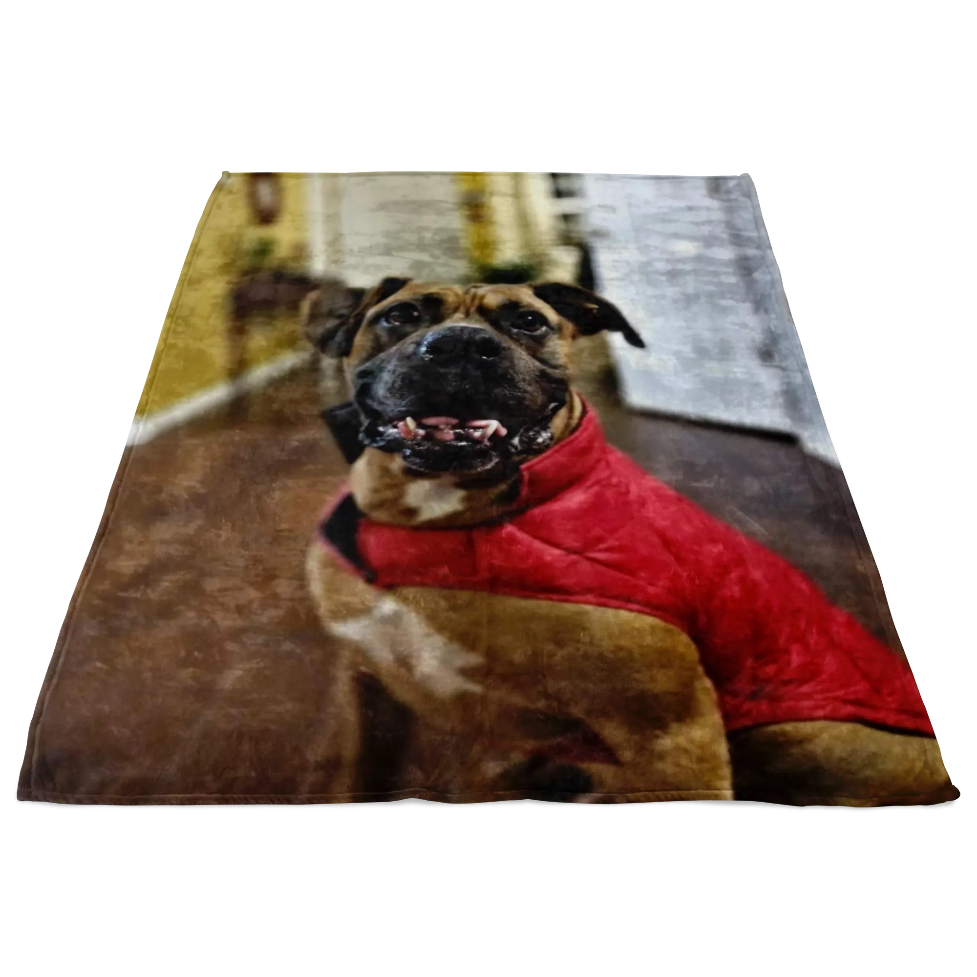 Custom Fleece Blanket with Sofia's Family Pet 11-30-2020