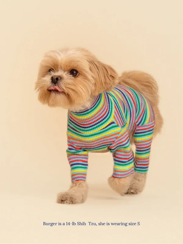 Fabulous Pet Onesie