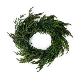 Faux Norfolk Pine Wreath - 15"