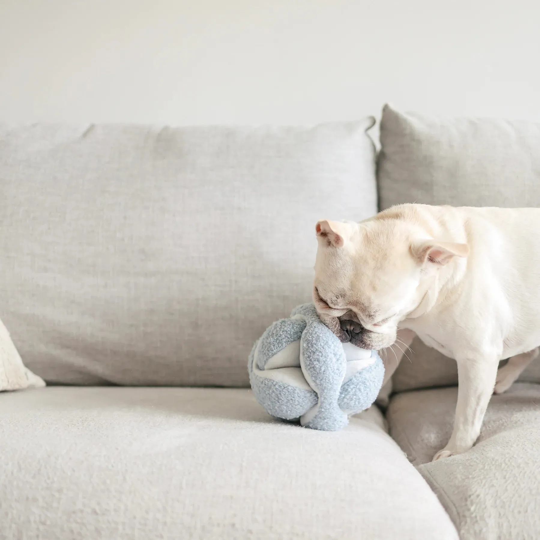 Lambwolf MONTI Crinkly and Squeaky Snuffle Ball