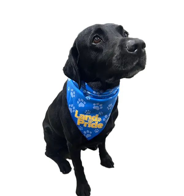 Land Pride BanDoggie Cooling Pet Bandana