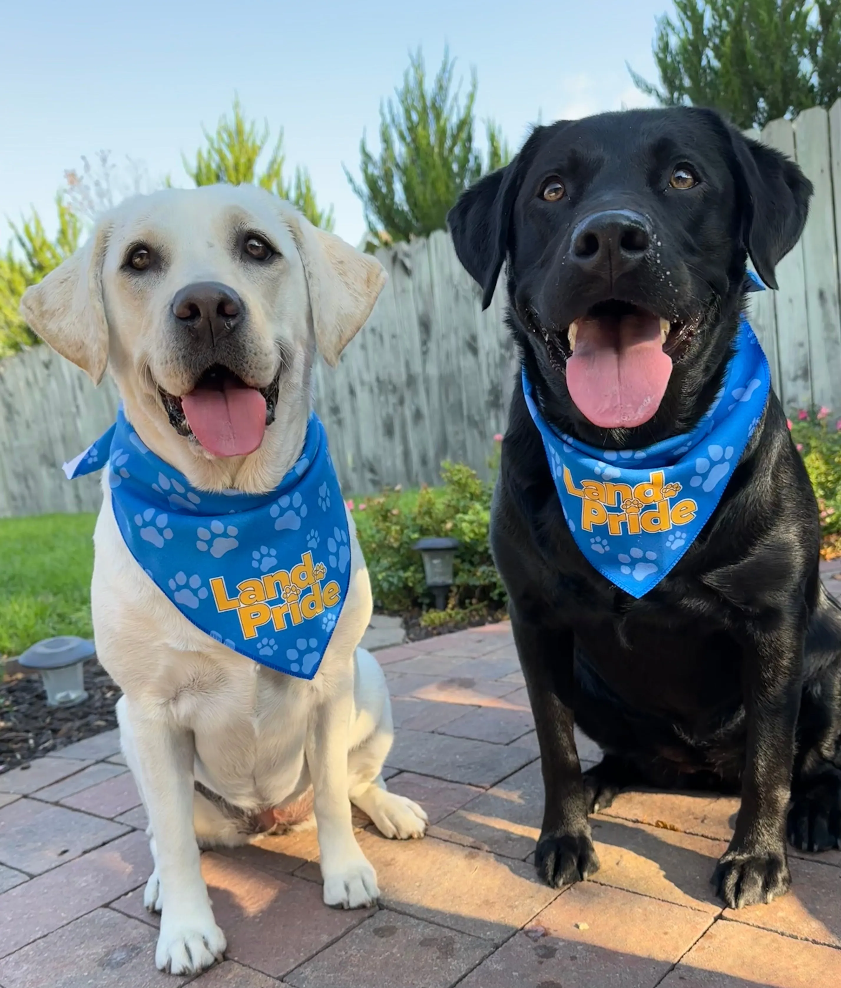 Land Pride BanDoggie Cooling Pet Bandana