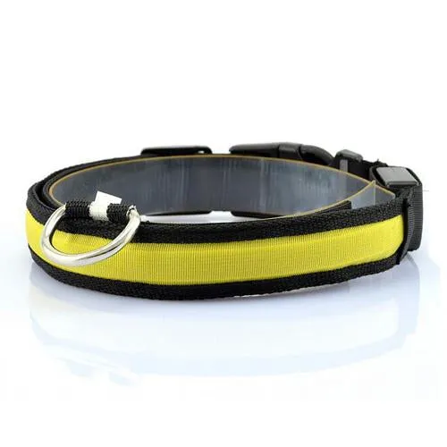 LED Pet Collar