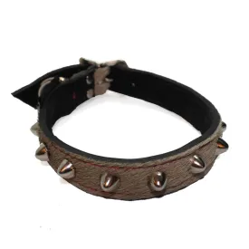 Medium Pet Collar