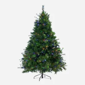 Pre-Lit Natural Royal Pine - Multicolour 7ft (2.1m)