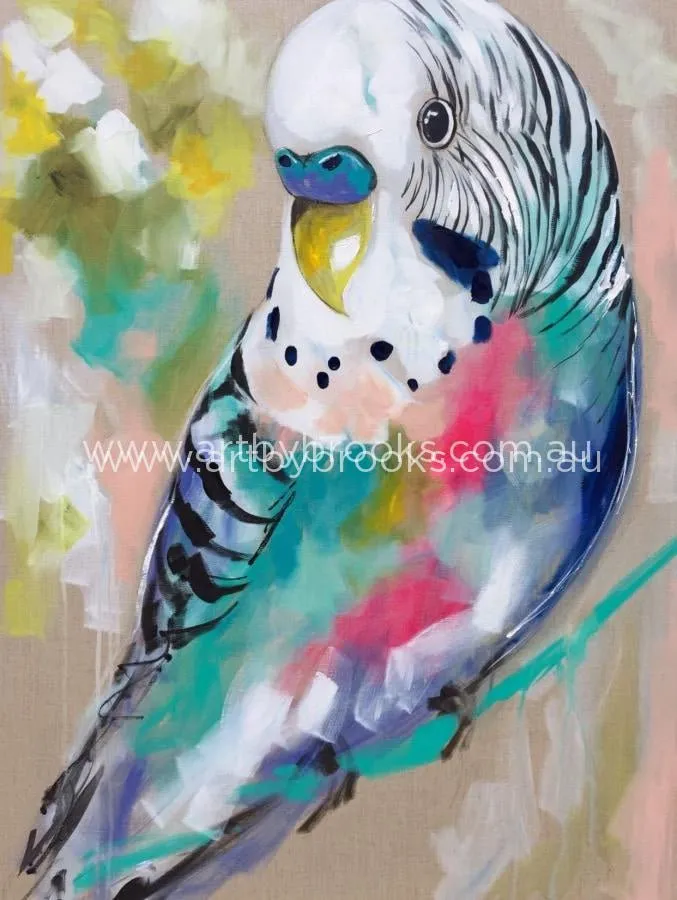 Sweet budgie - art print