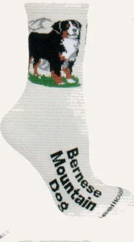 Wheel House Designs 2014 Designer Bernese Mt Dog Novelty Sock